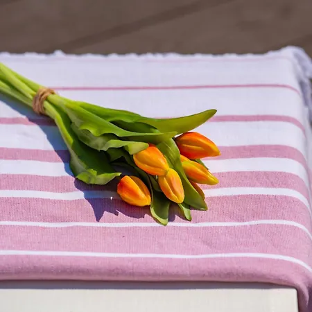 Florinda With Pool And Prime Location Near Split